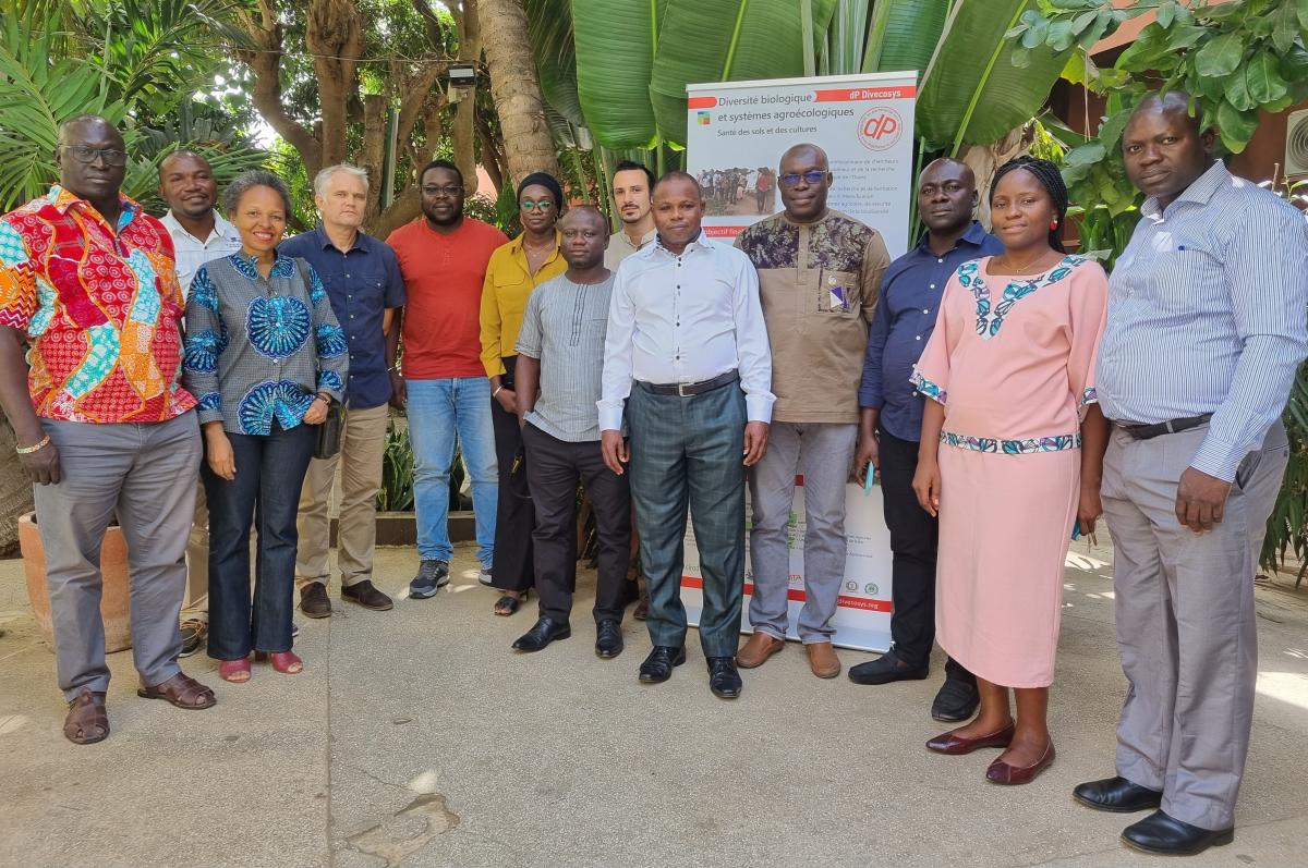 dP Divecosys©T. Brevault-Cirad